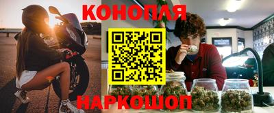 альфа пвп Новодвинск