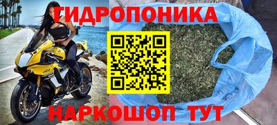 альфа пвп Новодвинск