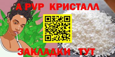 альфа пвп Новодвинск