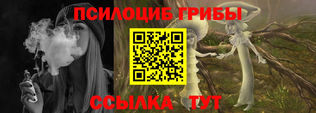 купить наркотики сайты  Вход с VPN  Тихвин  Галлюциногенные грибы Magic Shrooms 